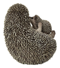 Load image into Gallery viewer, Mother &amp; Baby Hedgehogs On Back
