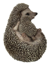 Load image into Gallery viewer, Mother &amp; Baby Hedgehogs On Back
