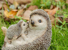 Load image into Gallery viewer, Mother &amp; Baby Hedgehogs On Back
