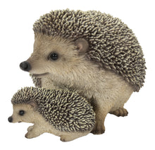 Load image into Gallery viewer, Mother &amp; Baby Hedgehogs
