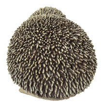 Load image into Gallery viewer, Mother &amp; Baby Hedgehogs
