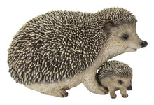 Load image into Gallery viewer, Mother &amp; Baby Hedgehogs
