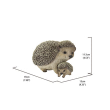 Load image into Gallery viewer, Mother &amp; Baby Hedgehogs
