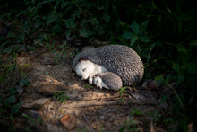 Load image into Gallery viewer, Soreal - Sleeping Mother Baby Hedgehog

