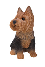 Load image into Gallery viewer, Sitting Yorkshire Terrier Statue
