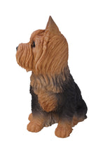 Load image into Gallery viewer, Sitting Yorkshire Terrier Statue
