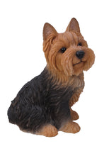Load image into Gallery viewer, Sitting Yorkshire Terrier Statue
