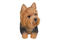 Load image into Gallery viewer, Yorkshire Terrier Lying Down
