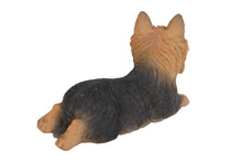 Load image into Gallery viewer, Yorkshire Terrier Lying Down
