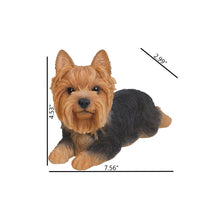 Load image into Gallery viewer, Yorkshire Terrier Lying Down

