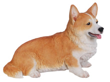 Load image into Gallery viewer, Corgi
