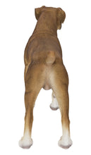 Load image into Gallery viewer, Boxer Dog Standing
