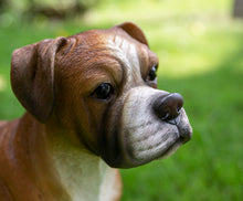 Load image into Gallery viewer, Boxer Dog Standing
