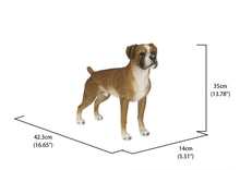 Load image into Gallery viewer, Boxer Dog Standing
