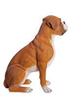 Load image into Gallery viewer, Sitting Boxer
