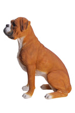Load image into Gallery viewer, Sitting Boxer
