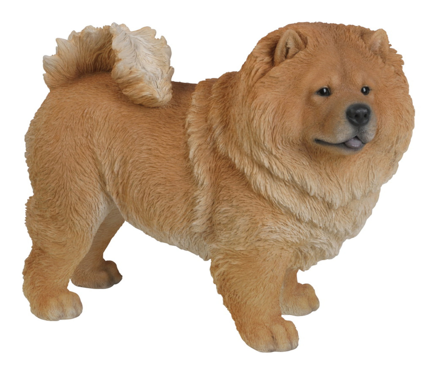 Standing Chow Chow
