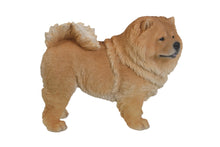 Load image into Gallery viewer, Standing Chow Chow
