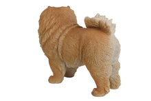 Load image into Gallery viewer, Standing Chow Chow
