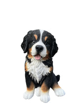 Load image into Gallery viewer, Soreal - Bernese Mountain Dog
