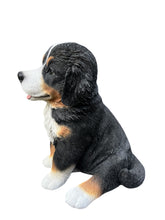 Load image into Gallery viewer, Soreal - Bernese Mountain Dog
