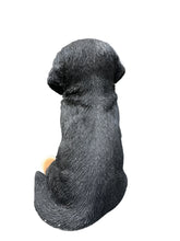 Load image into Gallery viewer, Soreal - Bernese Mountain Dog
