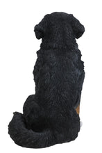 Load image into Gallery viewer, Bernese Mountain Dog

