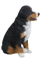 Load image into Gallery viewer, Bernese Mountain Dog
