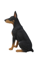 Load image into Gallery viewer, Sitting Doberman Pinscher
