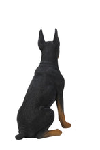 Load image into Gallery viewer, Sitting Doberman Pinscher
