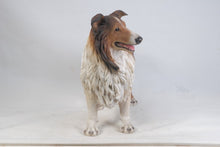Load image into Gallery viewer, Collie Statue
