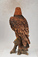 Load image into Gallery viewer, Golden Eagle
