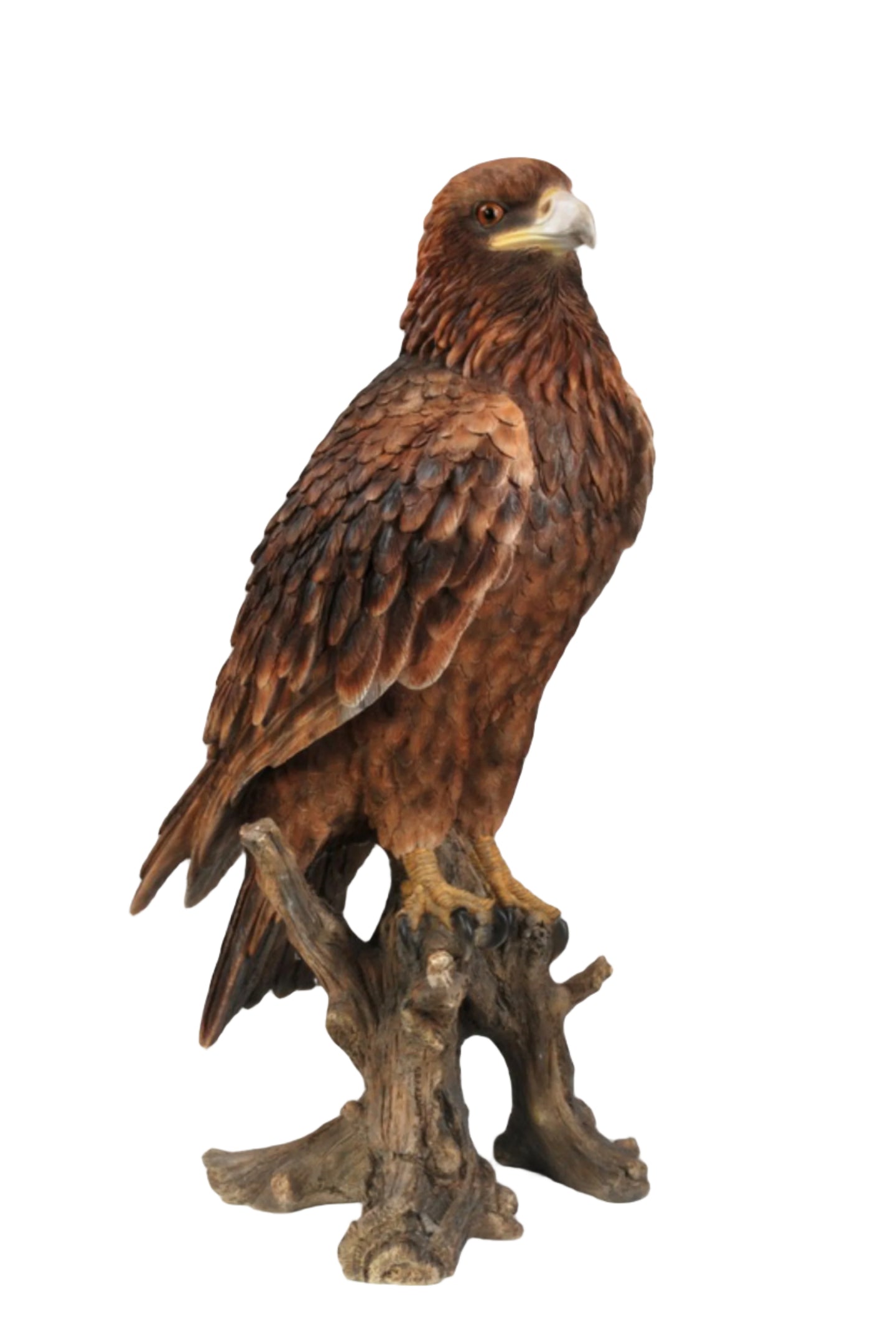 Golden Eagle