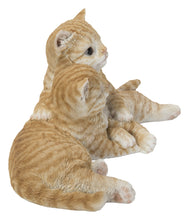 Load image into Gallery viewer, Couple Cat - Orange
