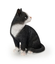 Load image into Gallery viewer, Black Cat Looking Back Garden Statue

