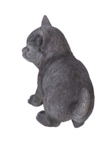 Load image into Gallery viewer, Russian Blue Kitten Statue
