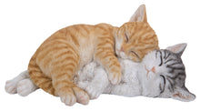 Load image into Gallery viewer, Orange &amp; Grey Tabby Cats Sleeping
