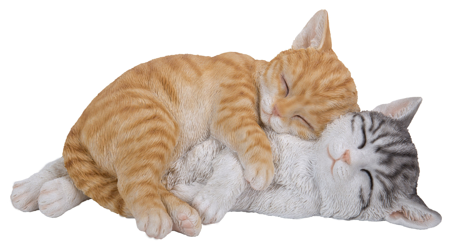 Orange & Grey Tabby Cats Sleeping