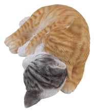 Load image into Gallery viewer, Orange &amp; Grey Tabby Cats Sleeping

