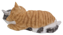 Load image into Gallery viewer, Orange &amp; Grey Tabby Cats Sleeping
