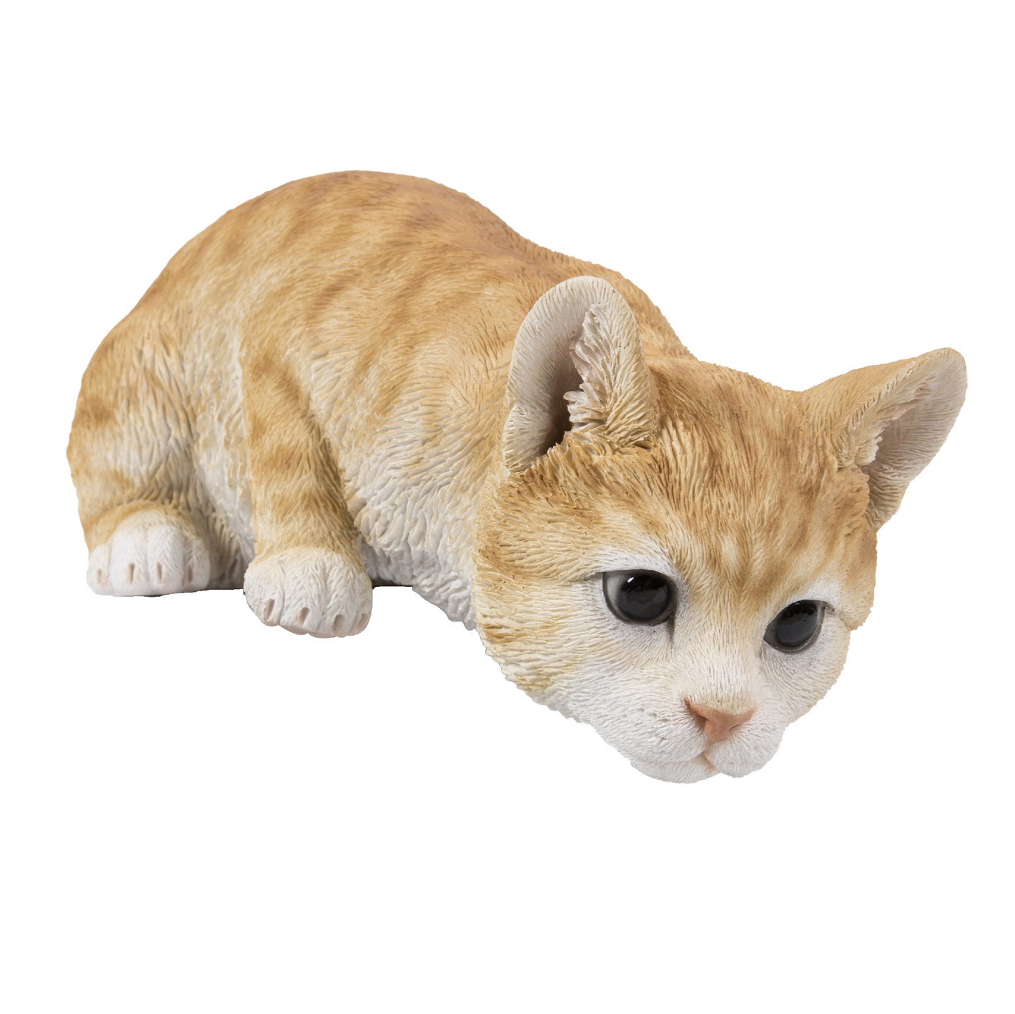 Cat Looking Over Ledge - Orange Tabby