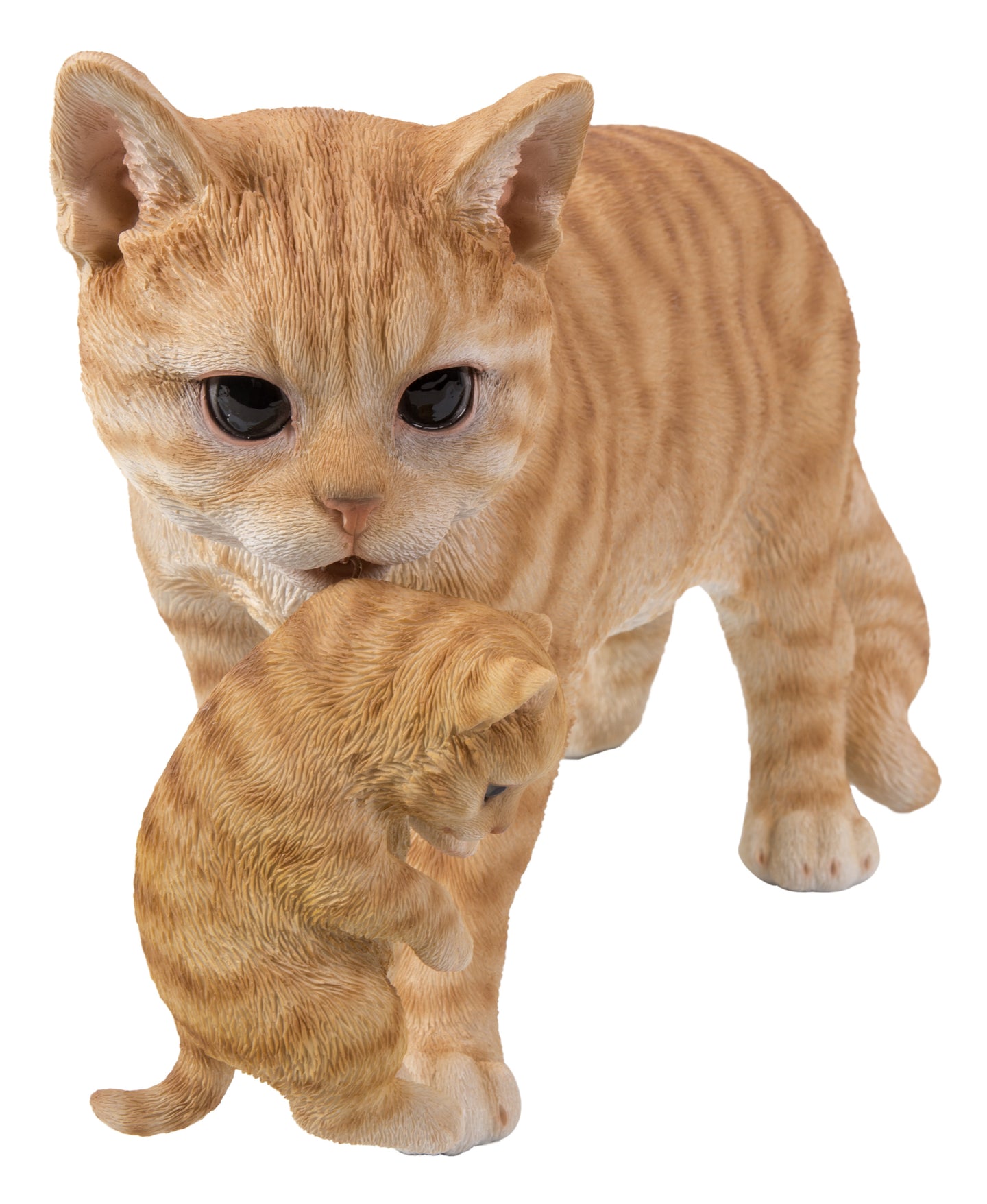 Mother Cat Carrying Kitten - Orange Tabby