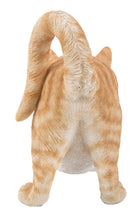 Load image into Gallery viewer, Orange Tabby Cat Stretching
