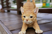 Load image into Gallery viewer, Orange Tabby Cat Stretching
