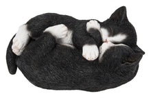 Load image into Gallery viewer, Sleeping Couple Cats - Black And White
