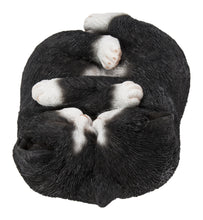 Load image into Gallery viewer, Sleeping Couple Cats - Black And White
