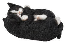 Load image into Gallery viewer, Sleeping Couple Cats - Black And White
