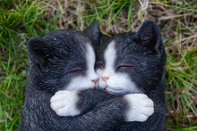 Load image into Gallery viewer, Sleeping Couple Cats - Black And White
