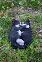 Load image into Gallery viewer, Sleeping Couple Cats - Black And White
