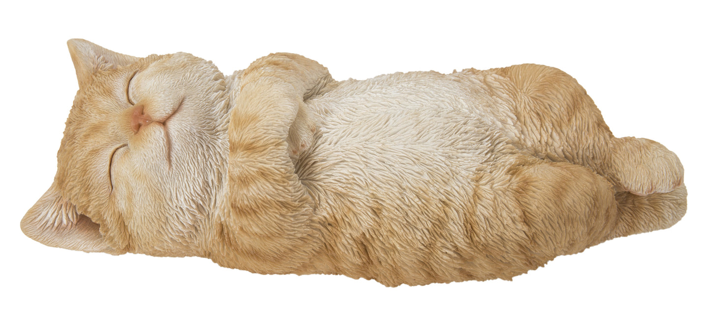 Sleeping Cat - Orange